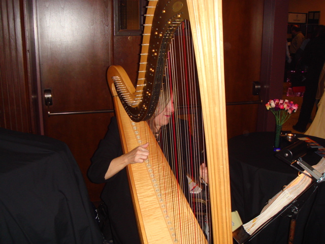 647JoannaJordanHarpist